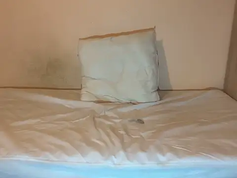 crazytranny online show from 01/18/25, 09:24