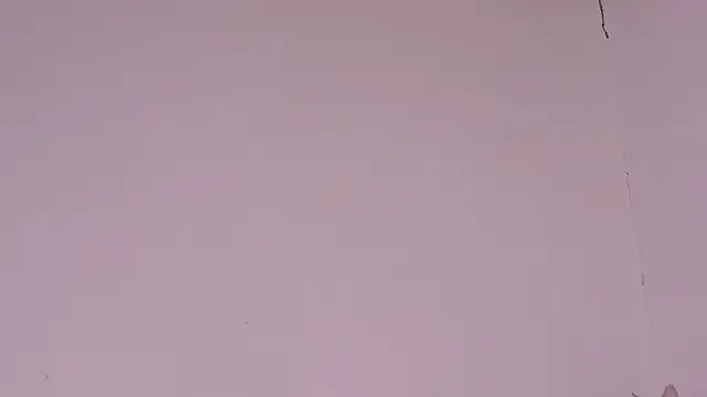 MayGibsson online show from 08/08/26, 12:29
