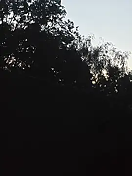 DanieleAleksandraDeRossii online show from 06/22/26, 07:44