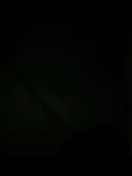 slutytransgal online show from 05/06/26, 02:08
