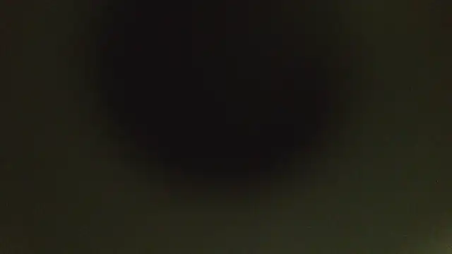 herpuppypeter online show from 05/15/26, 01:45