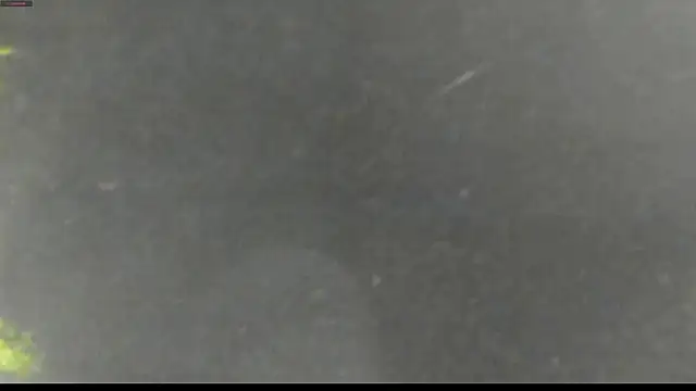 justin lenox online show from 06/01/26, 12:01