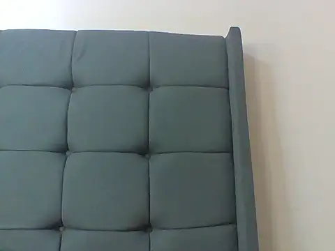 Snapshot of cythuu03 chatting on 06/29/26, 04:51 cythuu03 online show from 06/29/26, 04:51