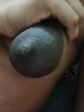 Rekha gupta01 online show from 05/28/26, 11:24