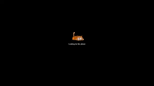 bella-diaz online show from 07/13/26, 08:33