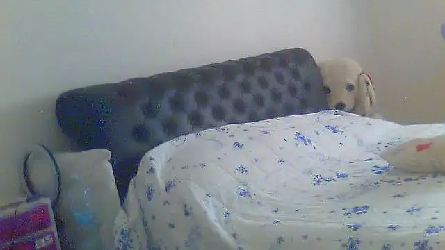 Snapshot of Alaska-perla chatting on 06/26/26, 09:14 Alaska-perla online show from 06/26/26, 09:14