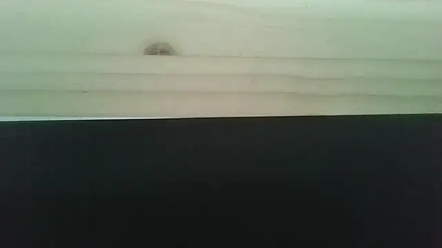 Snapshot of Hendrikje chatting on 06/02/26, 04:42 Hendrikje online show from 06/02/26, 04:42