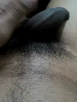 doggyvy online show from 08/08/26, 07:43