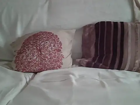 Snapshot of mikerr711 chatting on 06/12/26, 12:48 mikerr711 online show from 06/12/26, 12:48