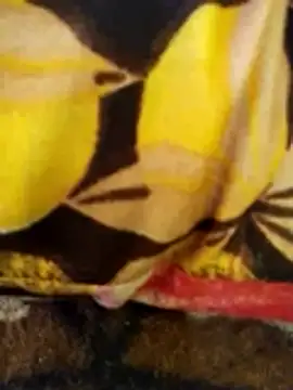 Hot dia92 online show from 07/11/26, 06:27