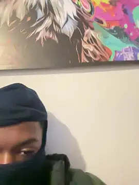 novinho lc online show from 06/11/26, 08:51