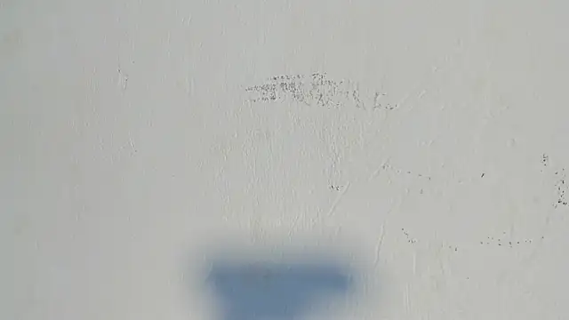 dakotadolly online show from 07/29/26, 08:40