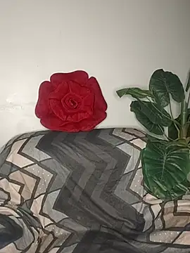 Cupid Mayra online show from 08/04/26, 01:25