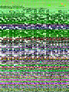Snapshot of pradoz_20 chatting on 06/26/26, 07:07 pradoz 20 online show from 06/26/26, 07:07