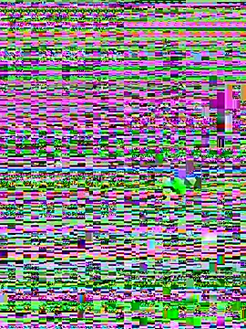Jelmer57 online show from 07/24/26, 08:51