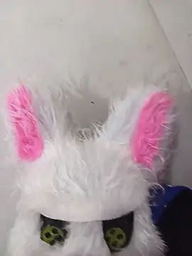 Happy rabbith online show from 07/15/26, 03:39