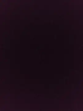 noirlynnexo online show from 08/06/26, 08:44