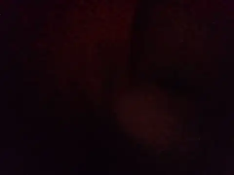 Snapshot of LunaVegamx chatting on 08/02/26, 08:02 LunaVegamx online show from 08/02/26, 08:02