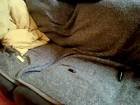 Snapshot of Truganini1 chatting on 12/22/24, 08:27 Truganini1 online show from 12/22/24, 08:27