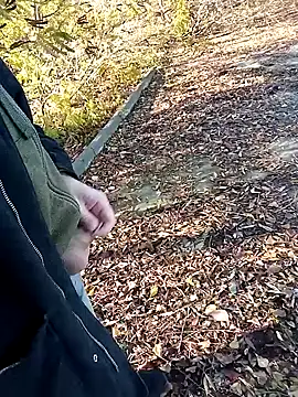 Pokaz2020 online show from 10/27/25, 11:36