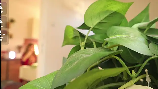 Snapshot of Kishaxxx chatting on 03/06/25, 02:08 Kishaxxx online show from 03/06/25, 02:08