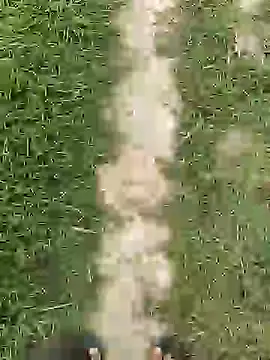 ThethunderPo online show from 04/01/26, 02:45