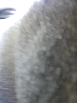 UncutHammer69 online show from 10/26/25, 11:53