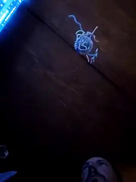 UncutHammer69 online show from 04/09/26, 03:06