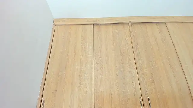 Austin Bitch online show from 02/24/25, 03:31