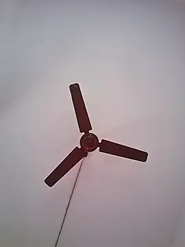 Snapshot of BlackBoy_Kolkata chatting on 06/19/26, 07:12 BlackBoy Kolkata online show from 06/19/26, 07:12