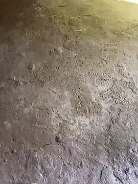 Bengali BULL1 online show from 10/31/25, 09:32