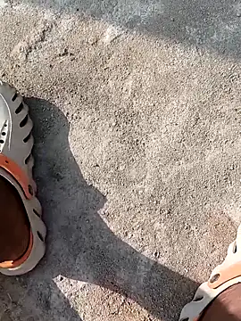 Bengali BULL1 online show from 11/22/25, 04:00