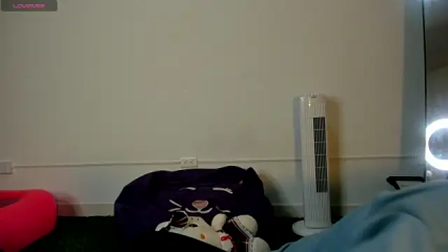 AbbyTaylorr online show from 11/11/25, 03:28