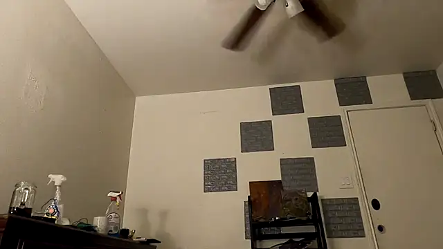 Snapshot of TheDaisyChaos chatting on 03/14/25, 01:27 TheDaisyChaos online show from 03/14/25, 01:27