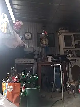 sarpe4 online show from 02/15/26, 02:58