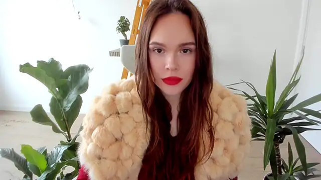 Pokemeboy online show from 12/11/24, 09:41