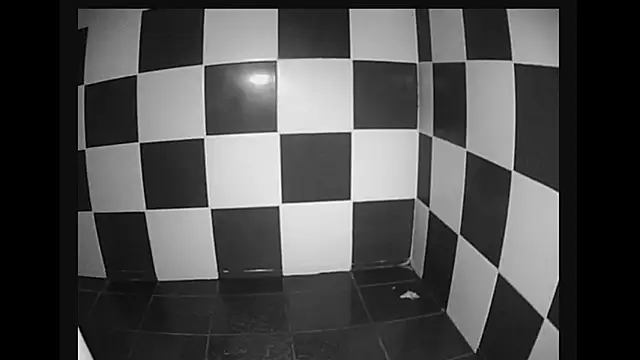 lysergic47 online show from 01/28/25, 11:07