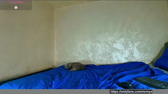 Snapshot of angeliquevany chatting on 12/02/25, 06:58 angeliquevany online show from 12/02/25, 06:58