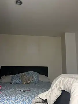 Snapshot of swrennn19 chatting on 02/17/25, 10:47 swrennn19 online show from 02/17/25, 10:47