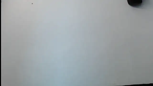 Snapshot of SebastianReiss chatting on 02/13/25, 01:29 SebastianReiss online show from 02/13/25, 01:29