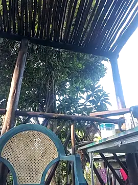 TryingWind online show from 04/11/26, 05:01