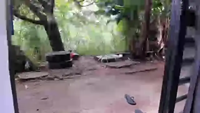 venusandzeusxh online show from 12/16/25, 12:54