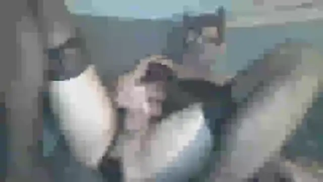 chceciedalsiebie online show from 02/03/26, 02:53