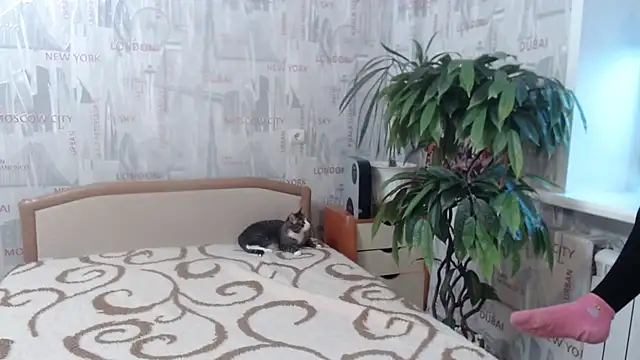 GinaQSoul online show from 02/20/26, 11:22