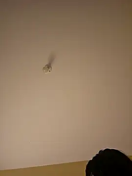 Latin summer online show from 01/08/26, 02:03