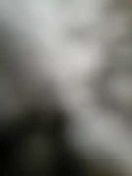 NiceHunter89 online show from 09/15/25, 02:50