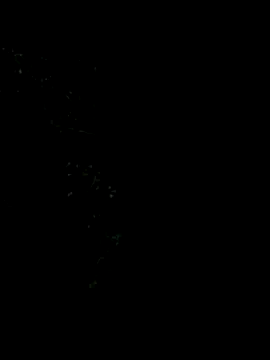 Ixchel Anaid online show from 01/05/26, 11:52