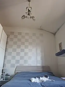 simona60 online show from 03/29/26, 06:57