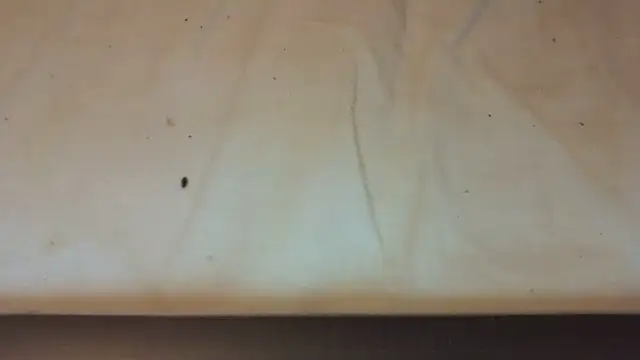 Helly97 online show from 10/23/25, 08:07