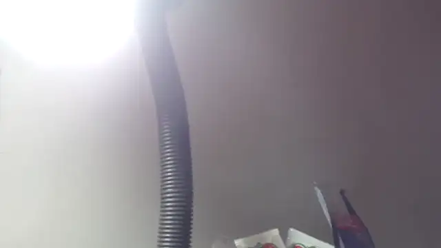 adrixxx38 online show from 12/18/25, 09:32